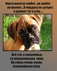 click for enlarge 527 X 659 247.8 Kb picture