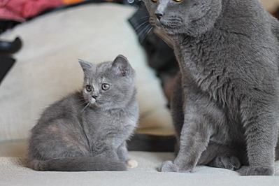 click for enlarge 800 X 533 136.8 Kb picture