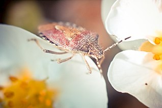 click for enlarge 1280 X 851 93.7 Kb picture