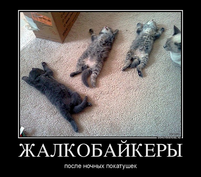 click for enlarge 760 X 670 142.0 Kb picture