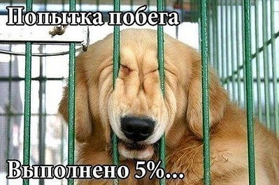 click for enlarge 600 X 398 59.2 Kb picture