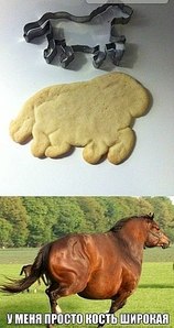 click for enlarge 297 X 561 39.6 Kb picture