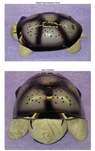 click for enlarge 550 X 875 532.2 Kb picture