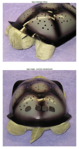 click for enlarge 537 X 1007 665.9 Kb picture