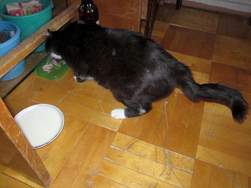 click for enlarge 1920 X 1440 643.6 Kb picture