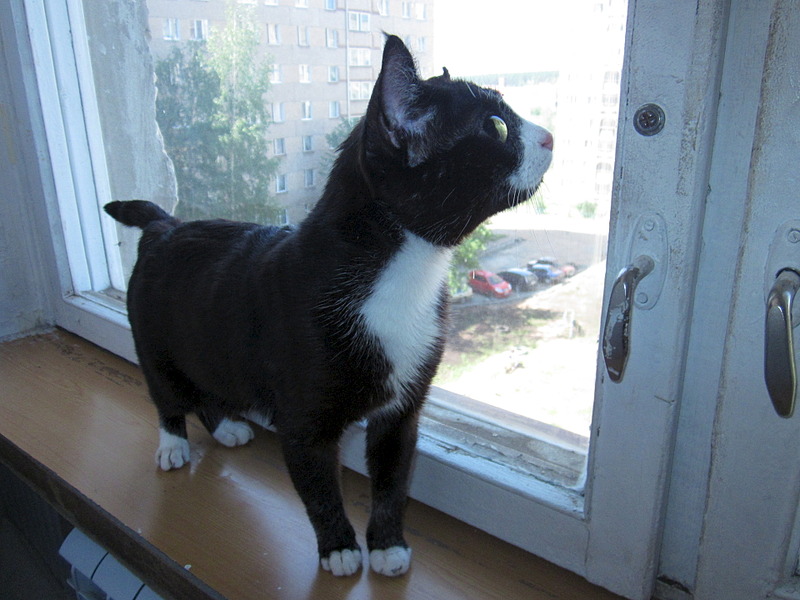 click for enlarge 1920 X 1440 545.5 Kb picture