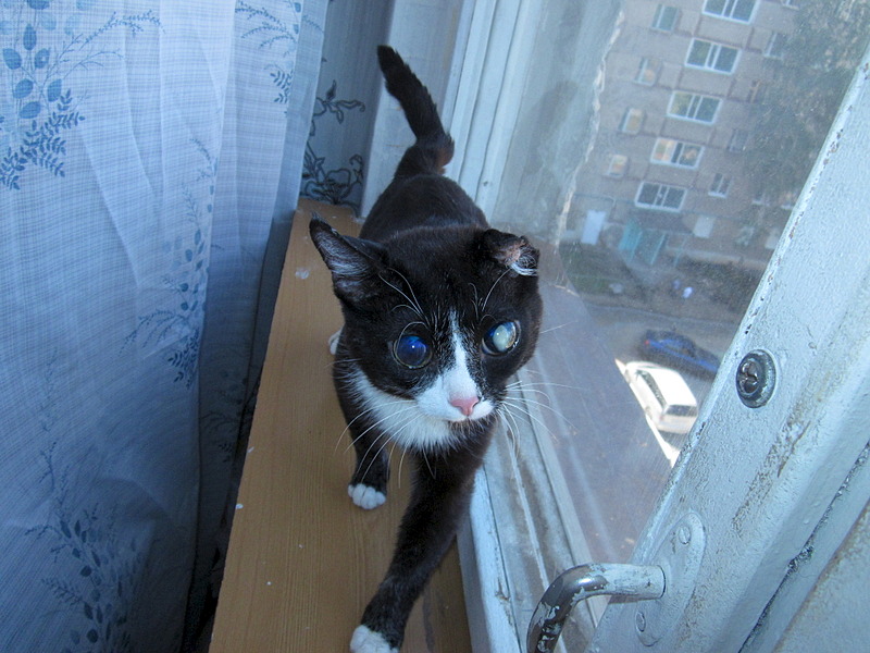 click for enlarge 1920 X 1440 624.3 Kb picture