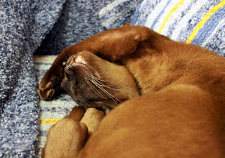 click for enlarge 1920 X 1350 771.3 Kb picture