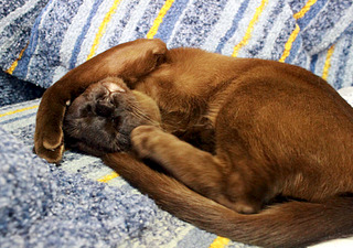 click for enlarge 1920 X 1350 771.4 Kb picture
