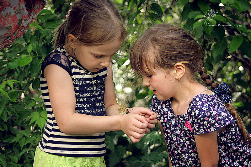 click for enlarge 900 X 600 189.6 Kb picture