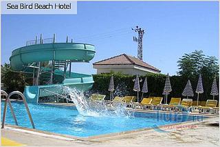 click for enlarge 500 X 333 35.7 Kb picture