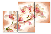 click for enlarge 1772 X 1181 704.9 Kb picture