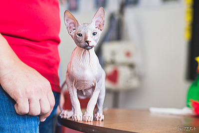 click for enlarge 1920 X 1280 554.3 Kb picture