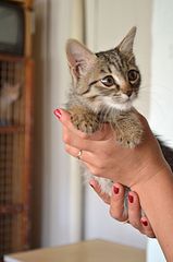 click for enlarge 1920 X 2898 493.1 Kb picture