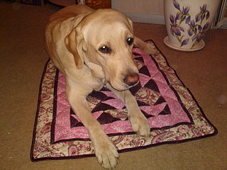 click for enlarge 1920 X 1440 711.2 Kb picture