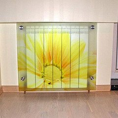 click for enlarge 300 X 300  18.2 Kb picture