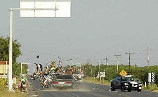 click for enlarge 525 X 325 92.6 Kb picture