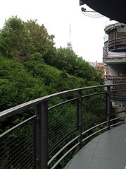 click for enlarge 451 X 604  70.8 Kb picture