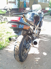 click for enlarge 1536 X 2048 342.5 Kb picture