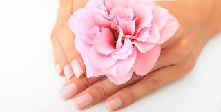 click for enlarge 568 X 288  22.0 Kb picture