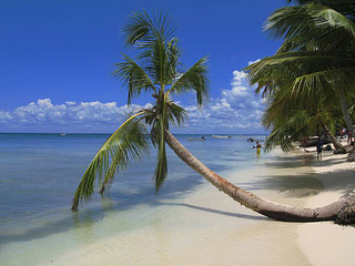 click for enlarge 620 X 465 95.2 Kb picture