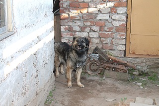 click for enlarge 1920 X 1280 831.6 Kb picture