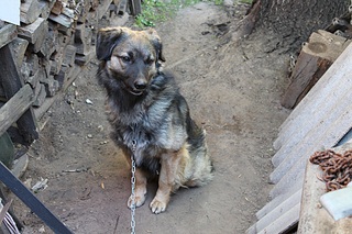 click for enlarge 1920 X 1280 854.7 Kb picture