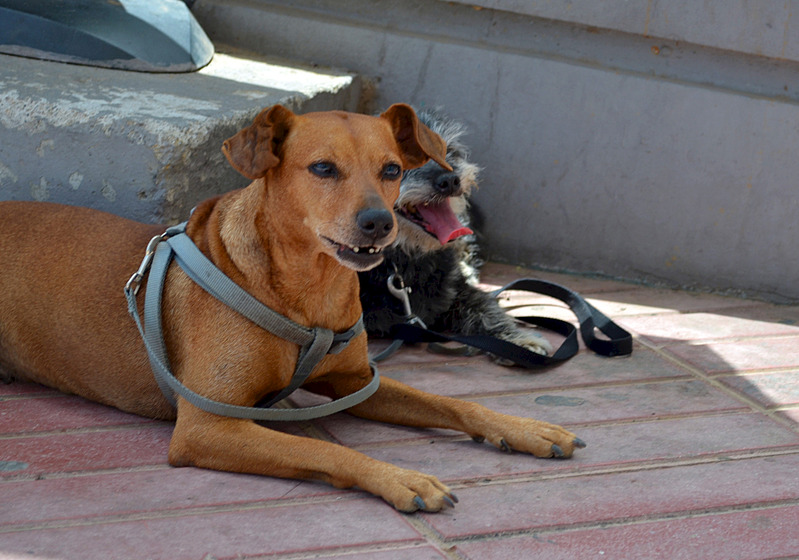 click for enlarge 1920 X 1346 532.7 Kb picture