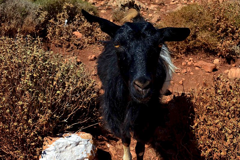 click for enlarge 1920 X 1280 530.5 Kb picture