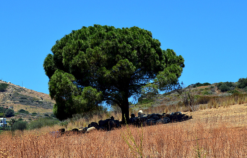 click for enlarge 1920 X 1224 977.3 Kb picture