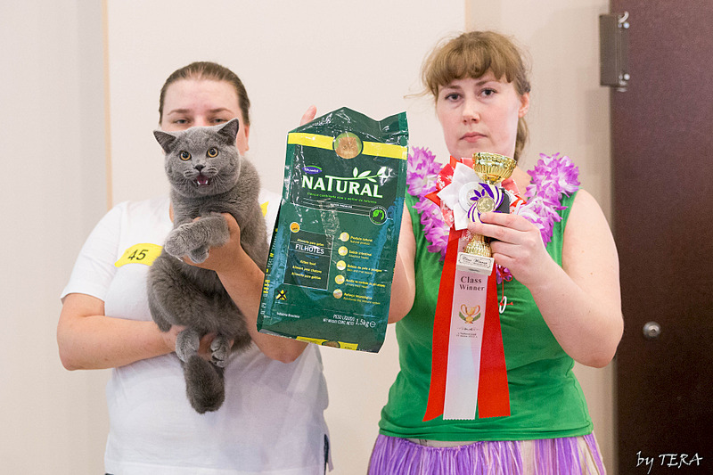 click for enlarge 1920 X 1280 667.2 Kb picture