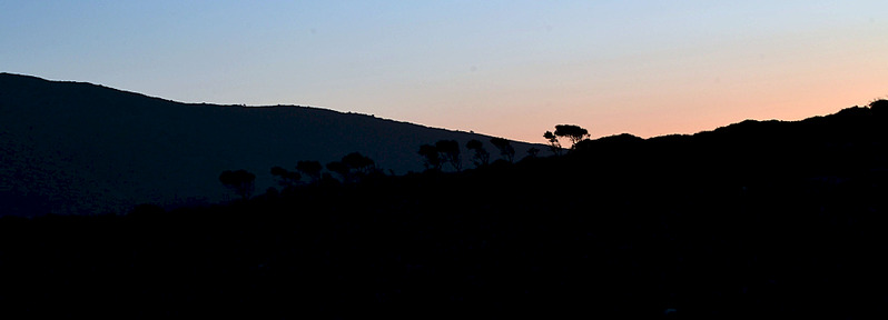 click for enlarge 1920 X 692 101.5 Kb picture