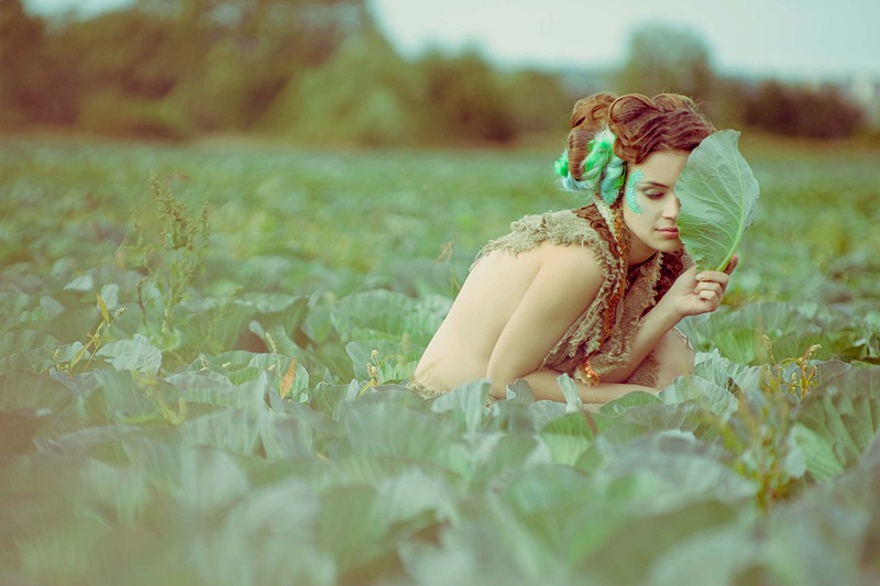 click for enlarge 1920 X 1280 304.5 Kb picture