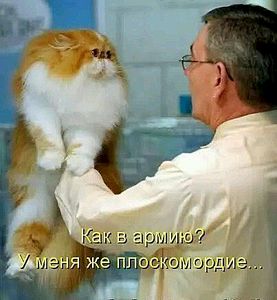 click for enlarge 403 X 436 29.3 Kb picture