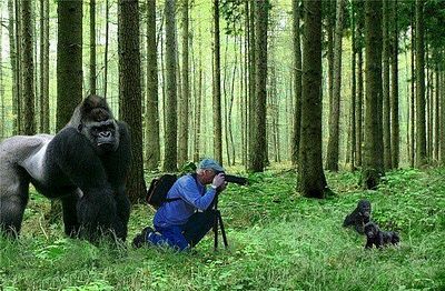 click for enlarge 600 X 393 90.4 Kb picture