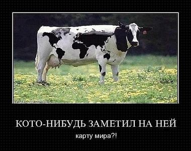 click for enlarge 560 X 442 50.1 Kb picture
