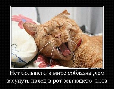 click for enlarge 604 X 472 60.4 Kb picture