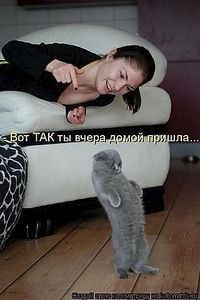 click for enlarge 320 X 480 22.9 Kb picture