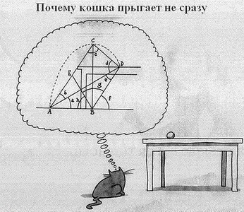 click for enlarge 500 X 433 107.5 Kb picture