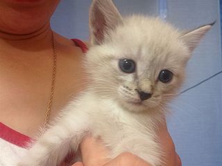 click for enlarge 1024 X 768 78.0 Kb picture