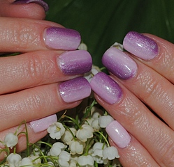 click for enlarge 1283 X 1235 549.0 Kb picture