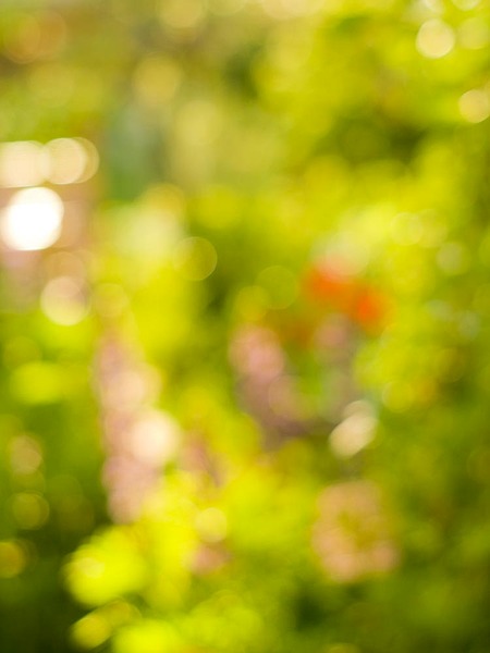 click for enlarge 750 X 1000 37.9 Kb picture