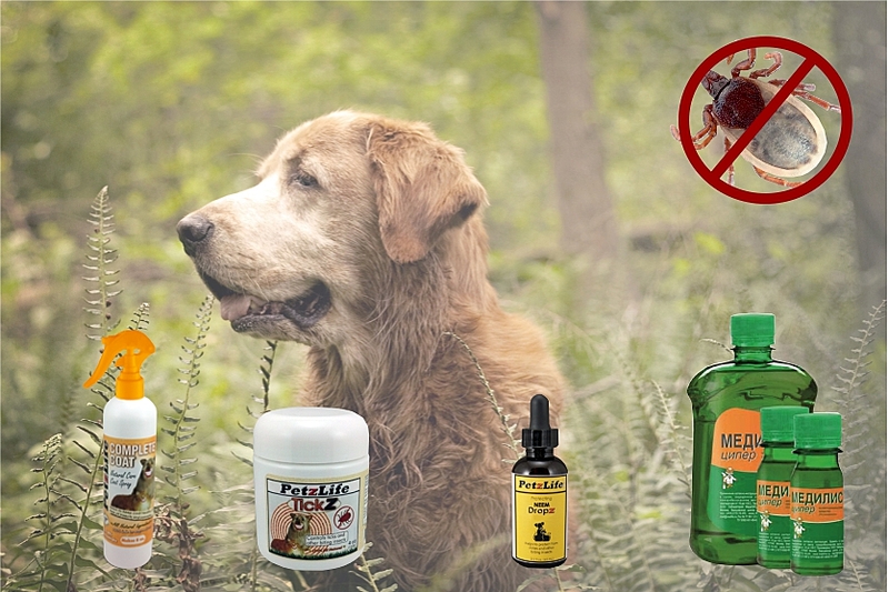 click for enlarge 836 X 557 351.5 Kb picture