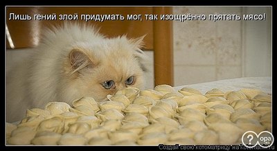 click for enlarge 750 X 411  47.6 Kb picture