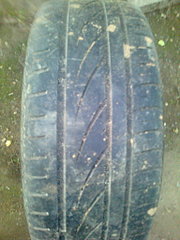 click for enlarge 1536 X 2048 492.0 Kb picture