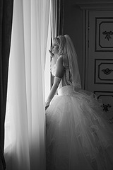 click for enlarge 500 X 750 200.9 Kb picture