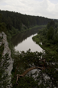 click for enlarge 1920 X 2890 534.9 Kb picture