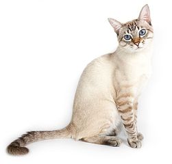 click for enlarge 600 X 573 25.7 Kb picture