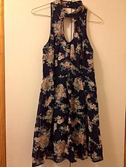 click for enlarge 453 X 604  80.6 Kb picture