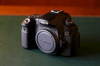 click for enlarge 900 X 600 71.9 Kb picture